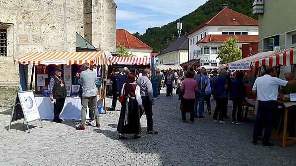 Ortsbildmesse Ternberg 2019-09-08 von ~ 7 Wikipedianer*innen