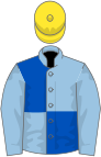 Голубой и королевский синий (в четыре части), голубые рукава, желтая кепка