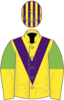 Yellow, purple chevron, light green and yellow halved sleeves, purple and yellow striped cap