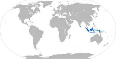 Usuário de P2 marcado com azul.