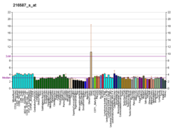 PBB GE FZD8 216587 s at fs.png