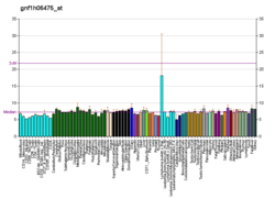 PBB GE TAS1R2 gnf1h06475, fs.png'de