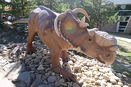 Pachyrhinosaurus