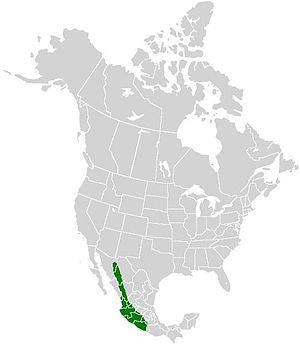 Parides alopius range map.JPG