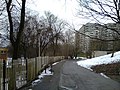 Jedna z alei parkowych w pobliżu POSiR-u, w głębi Apartamentowiec Pelikan na osiedlu Piastowskim (styczeń 2018)