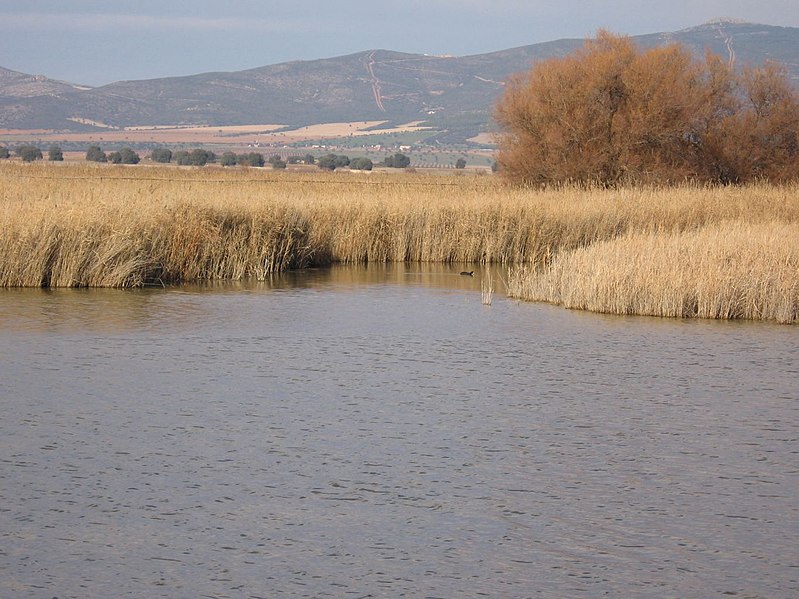 File:Parque Nacional de Las Tablas de Daimiel - panoramio - isol (3).jpg