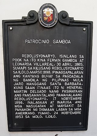 <span class="mw-page-title-main">Patrocinio Gamboa</span>