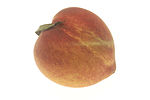 Peach (1).jpg