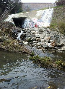 Looking west, from east side of Stevens Creek, at terminus of Permanente Creek Diversion Channel as it exits beneath Highway 85. Here Permanente Creek drops about ten vertical feet over cemented boulders, an impassable barrier to in-migrating steelhead trout, 2013.