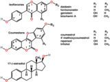 多酚包括植物雌激素（顶部和中部），是动物雌激素的有效模拟物（底部）。[24]