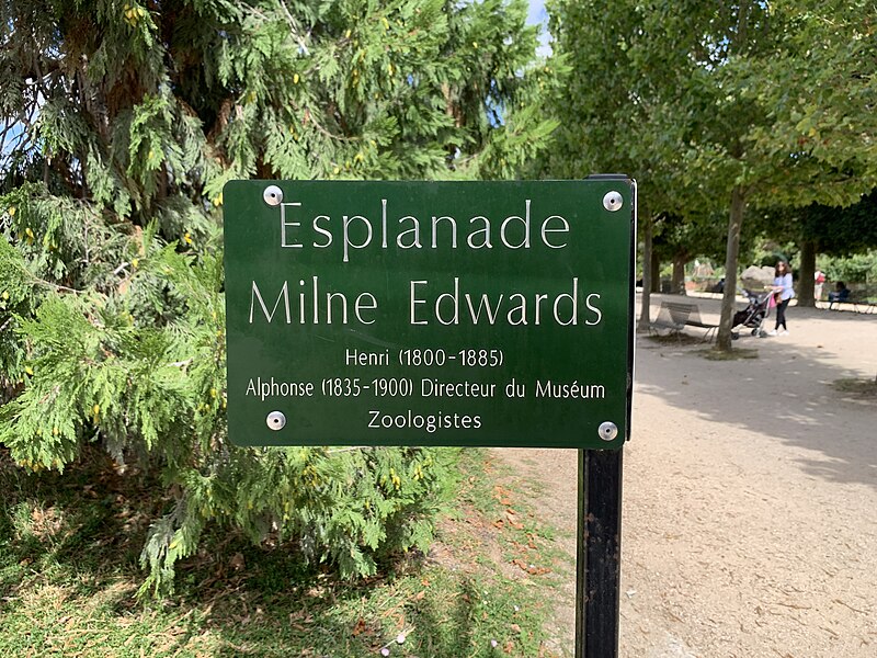 File:Plaque Esplanade Milne Edwards - Paris V (FR75) - 2021-07-30 - 2.jpg