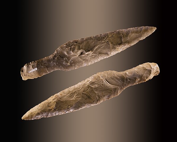A Neolithic dagger from the Muséum de Toulouse