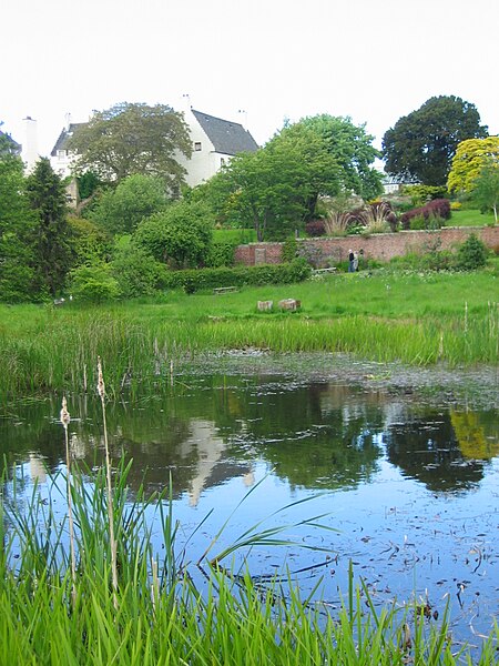 File:Pond01.jpg