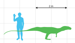 Size of Poposaurus gracilis relative to a human. Poposaurus gracilis scale.svg