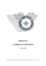 Thumbnail for File:Progetto Campionato Triveneto 2014 2016 def 1 per 230120 221550.pdf