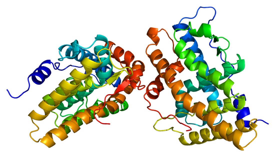 Progesterone receptor