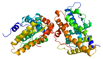 Figure 1: Progesterone Receptor Protein PGR PDB 1a28.png