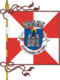 Flagge des Concelhos Santa Maria da Feira