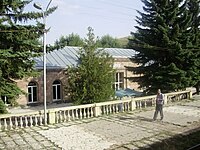 baş parmak