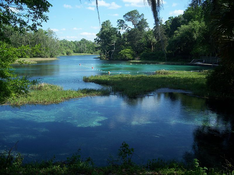 File:Rainbow Springs State Park river01.jpg