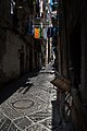 Image 325Remains of a bicycle in an alley, Naples, Italy (approx. GPS location)