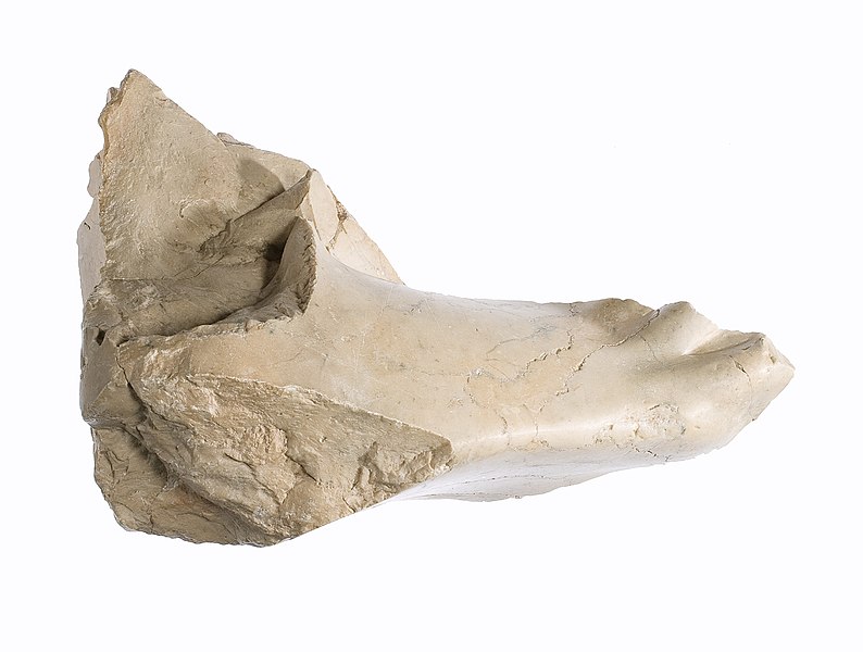 File:Right foot and leg of Akhenaten or Nefertiti prostrate MET 57.180.96 view 2.jpg