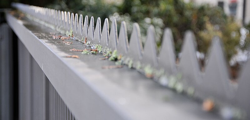 File:Row of fence spikes (2010).jpg