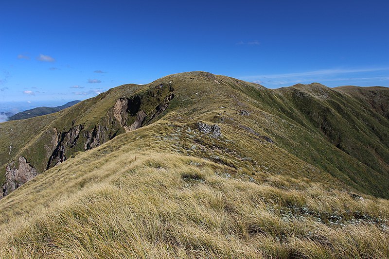 File:Ruahine Mountains, along the Daphne Spur (19).JPG