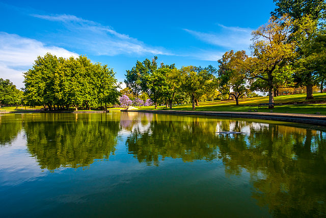 Rymill Park lake