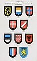 Waffen-SS Sonderabzeichen für nichtdeutscher Verbände, Ärmelabzeichen (Non-German volunteers sleeve patch/armflag)