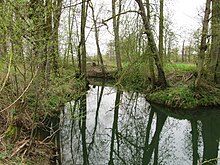 Schwarzbachaue bei Meckesheim