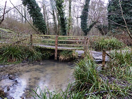 Seabrook Stream 5