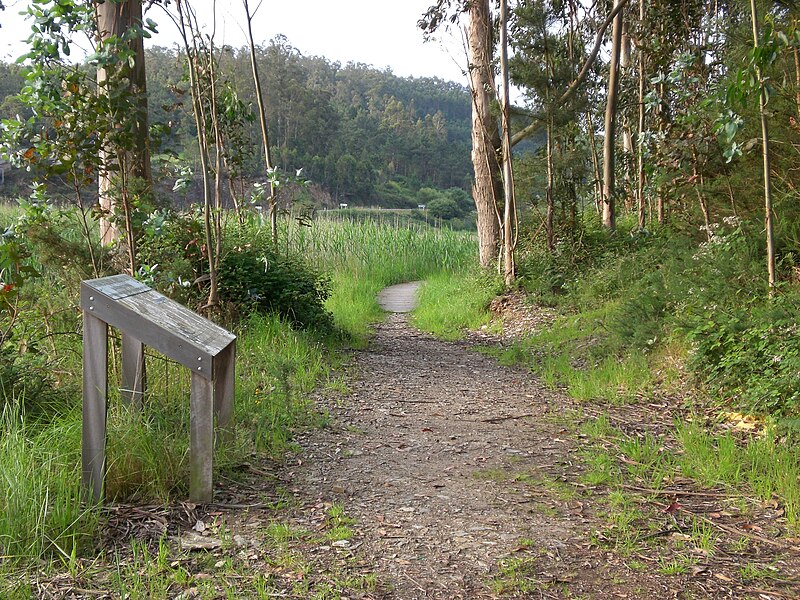 File:Senda peatonal al borde del Eo (2).JPG