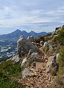 Sender al vessant sud de la serra de Bèrnia.jpg