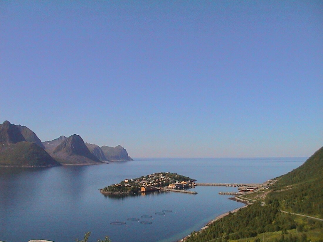 Senja (Insel)