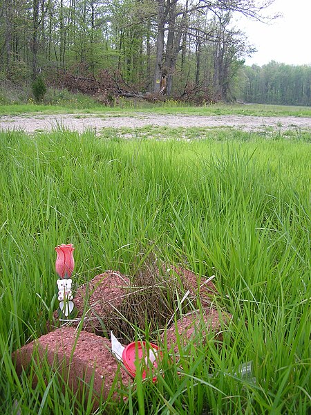 File:Shanda sharer field and memorial.jpg