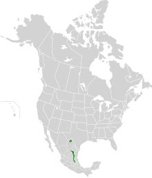 Map showing natural range of Quercus delgadoana