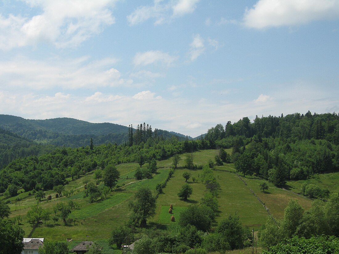 Râșca, Suceava