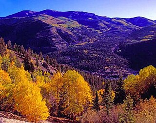 <span class="mw-page-title-main">Slumgullion Earthflow</span> Geographic feature in the U.S. state of Colorado