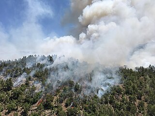 <span class="mw-page-title-main">Snake Ridge Fire</span> 2017 wildfire in Arizona, United States