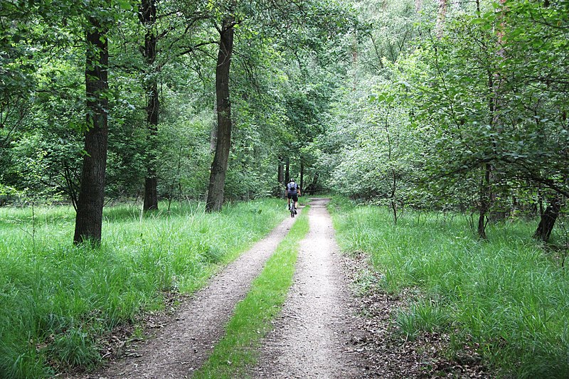 File:Sportief genieten van de natuur.jpg