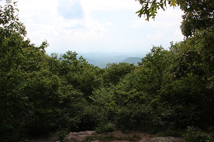 View from Springer Mountain