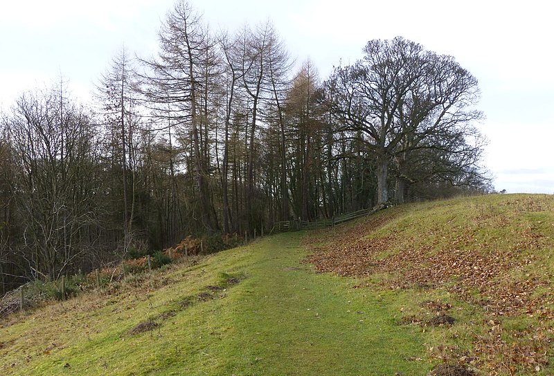 File:St Oswald's Way enters the woods - geograph.org.uk - 3770452.jpg