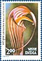 Stamp of India - 1982 - Colnect 169282 - Himalayan Flowers - Arisaema wallachianum.jpeg