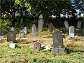 Old Jewish Cemetery (19th century, Nová Terasa)