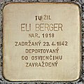 Kámen úrazu pro Eli Berger (Humenné) .jpg