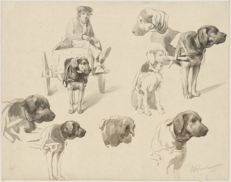 File:Studies van een hondenkar en een hond, RP-T-1941-4.jpg