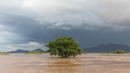 Fail:Submerged tree under a dark sky in Si Phan Don.jpg