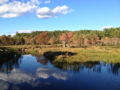 Sucker_Brook,_eastward_view.jpg 7.99027 MP