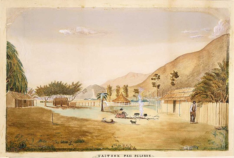 File:Taitook Pah Pelorus, watercolour by J. P. Murray, ca 1880.jpg